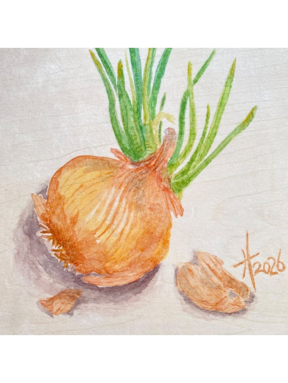 Sprouting Onion 2 Original Art Watercolor Signed Painting 8x10in on Wood Panel